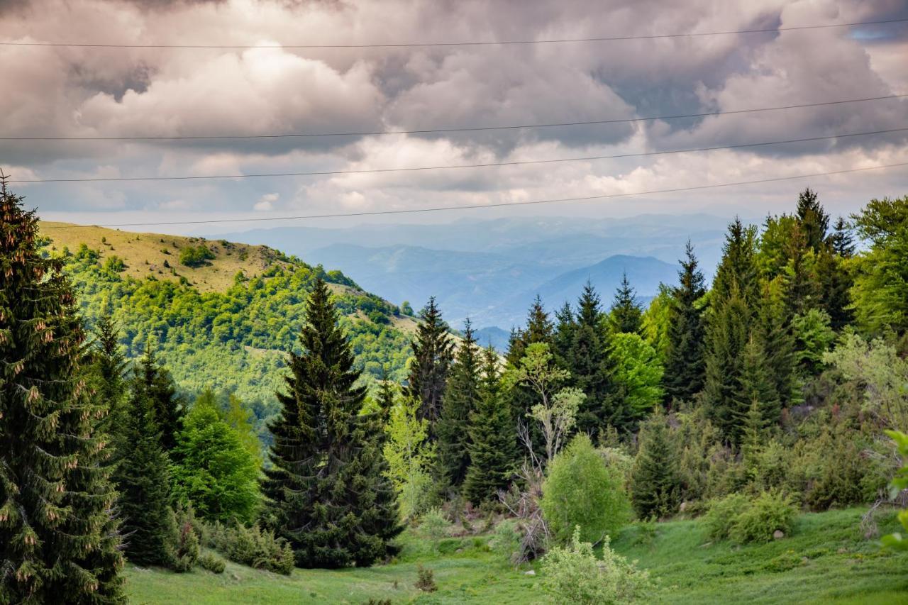 Apartments View Dvori E25 Kopaonik Exteriör bild